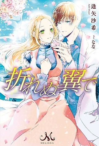 Cover image for the novel called Orenu Tsubasa de
