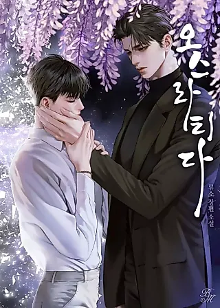 Cover image for the novel called Osratida