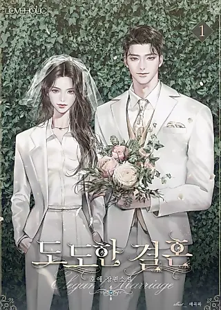 Cover image for the novel called A Confident Marriage