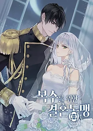 Cover image for the novel called A Marriage Alliance for Revenge