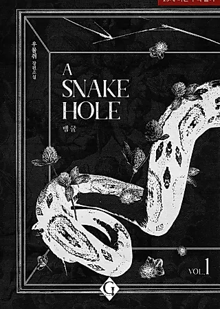 Cover image for the novel called A Snake Hole