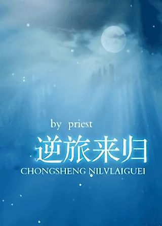 Cover image for the novel called A Returning Journey