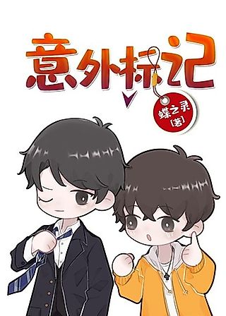 Cover image for the novel called Accidental Mark