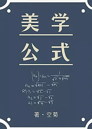 Cover image for the novel called Aesthetic Formula