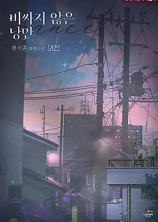 Cover image for the novel called Affordable Romance