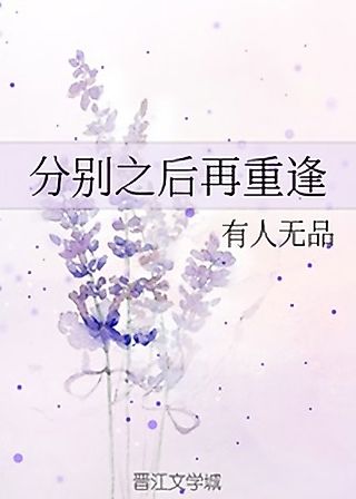 Cover image for the novel called After Parting Ways, A Reunion