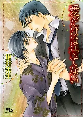 Cover image for the novel called Ai dake wa Matenai