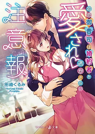 Cover image for the novel called Aisare Chuuihou: Hatsukoi Onzoushi wa Konyakusha wo Nigasanai