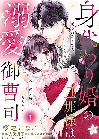 Cover image for the manga called Aisarenakutemo Ii kara, Hontou no Fuufu ni Naritai: Migawari Kon no Danna-sama wa Dekiai Onzoushi