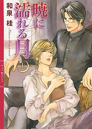 Cover image for the novel called Akatsuki no Nureru Tsuki