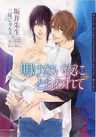 Cover image for the novel called Akenai Yoru ni Torawarete