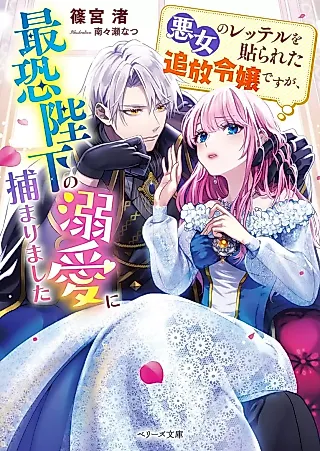 Cover image for the novel called Akujo no Retteru wo Harareta Tsuihou Reijou desu ga, Saikyou Heika no Dekiai ni Tsukamarimashita