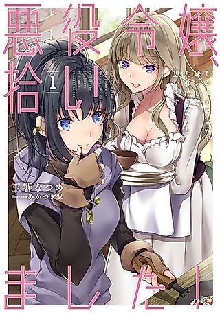 Cover image for the novel called Akuyaku Reijou, Hiroimashita! Shikamo Kawaii no de, Imouto Toshite Daiji ni Shitai to Omoimasu