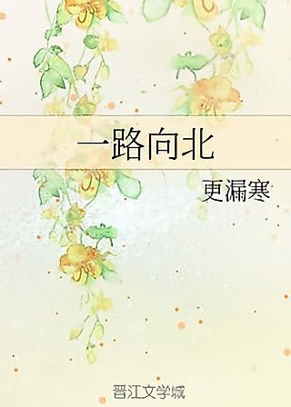 Cover image for the novel called All The Way North