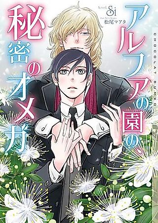 Cover image for the novel called Alpha no Sono no, Himitsu no Omega