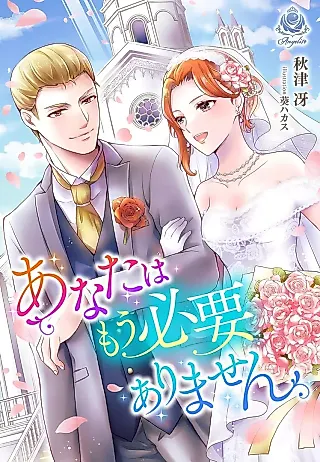 Cover image for the novel called Anata wa Mou Hitsuyou Arimasen