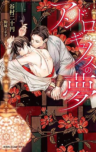 Cover image for the novel called Androgynos no Yume