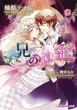 Cover image for the novel called Ani no Torikago