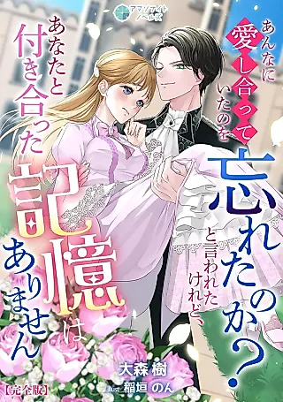 Cover image for the novel called Anna ni Aishiatteita no wo Wasureta no ka? To Iwareta keredo, Anata to Tsukiatta Kioku wa Arimasen