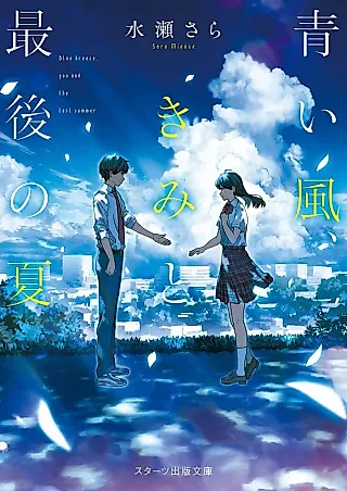 Cover image for the novel called Blue Breeze. You and the Last Summer