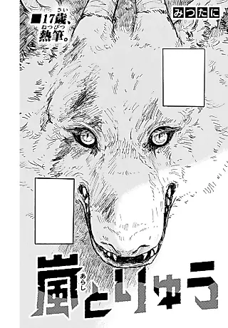 Cover image for the manga called Arashi to Ryuu