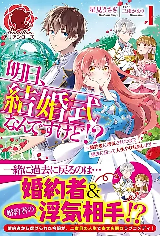 Cover image for the novel called Ashita, Kekkon Shiki na n desu kedo!? Konyakusha ni Uwaki Sareta no de Kako ni Modotte Jinsei Yarinaoshimasu