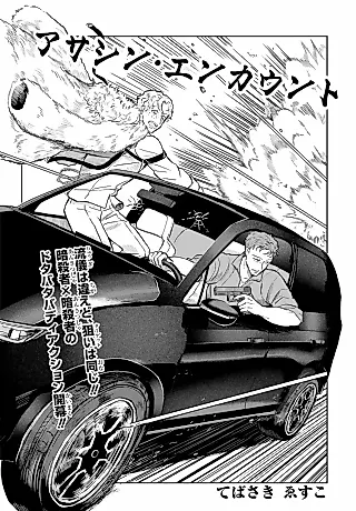 Cover image for the manga called Assassin Encount