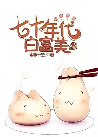 Cover image for the novel called Bai Fumei in the 70’s