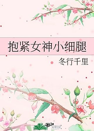 Cover image for the novel called Bao Jin Nushen Xiao Xi Tui