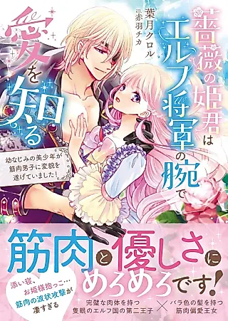 Cover image for the novel called Bara no Himegimi wa Elf Shougun no Ude de Ai wo Shiru Osananajimi no Bishounen ga Kinniku Danshi ni Henbou wo Togetei Mashita!