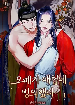 Cover image for the novel called Becoming the King's Concubine