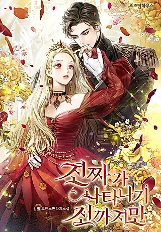 Cover image for the novel called Before the Real Heroine Steps In