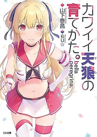 Cover image for the novel called Bella Peregrina. Kawaii Ol no Sodatekata.