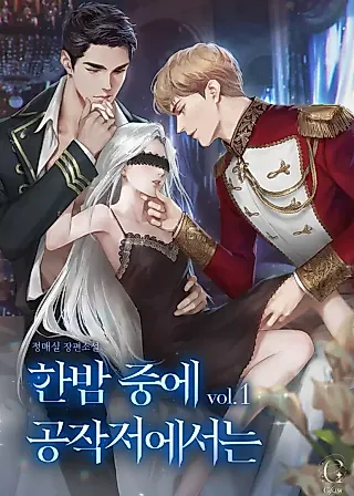 Cover image for the novel called In the Middle of the Night in the Duke's Residence