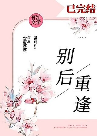 Cover image for the novel called Bie Hou Chongfeng