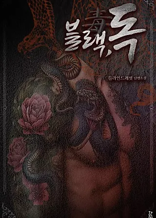 Cover image for the novel called Black, Poison