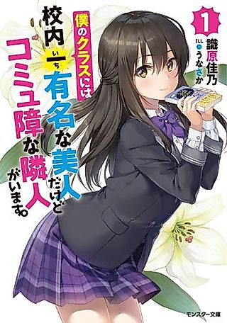 Cover image for the novel called Boku no Class ni wa Kounai Ichi Yuumei na Bijin dakedo Komyushou na Rinjin ga Imasu