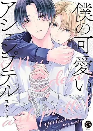 Cover image for the manga called Boku no Kawaii Aschenputtel