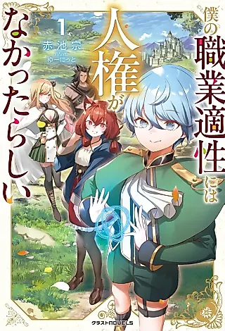 Cover image for the novel called Boku no Shokugyou Tekisei ni wa Jinken ga Nakatta Rashii