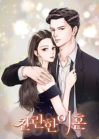 Cover image for the novel called Brilliant Divorce