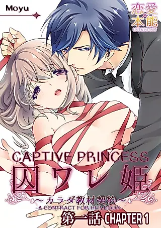 Cover image for the manga called Captive Princess -A Contract for Her Body-