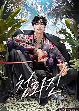 Cover image for the novel called Cheonghwa Town
