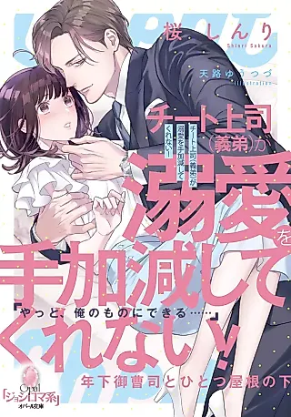 Cover image for the novel called Cheat Joushi (Gitei) ga Dekiai wo Tekagen Shitekurenai! Toshishita Onzoushi to Hitotsu Yane no Shita