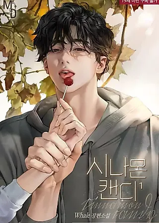 Cover image for the novel called Cinnamon Candy
