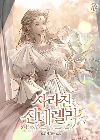 Cover image for the novel called Cinderella Disappeared
