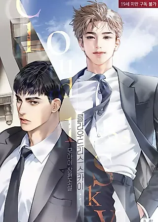 Cover image for the novel called Cloudless Sky
