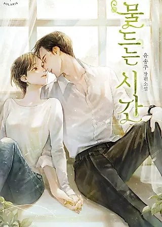 Cover image for the novel called Colored With Time