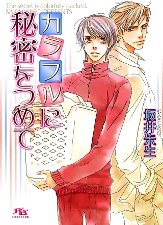 Cover image for the novel called The secret is colorfully packed.