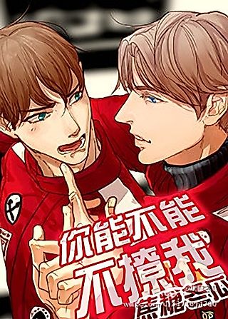 Cover image for the novel called Could You Not Tease Me?
