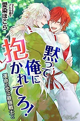 Cover image for the novel called Damatte Ore ni Idakarete Ro! Unmei no Koi wa Saikyou Senshi To